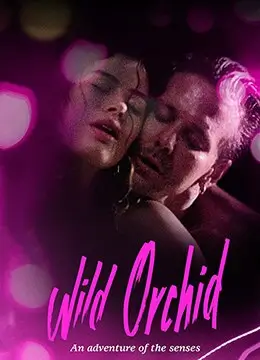 剧集行业观察配图